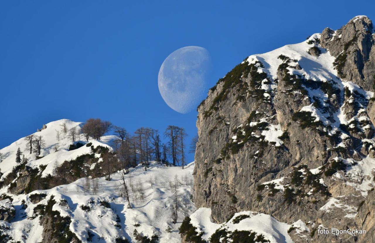 Mountain Charm Daire Kranjska Gora Dış mekan fotoğraf