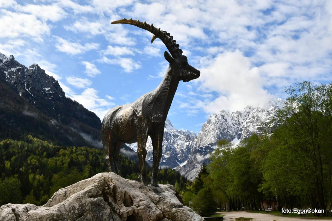 Mountain Charm Daire Kranjska Gora Dış mekan fotoğraf
